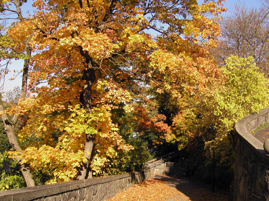 Autumn day in Skansen