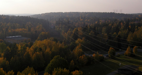 View from my window