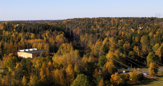 View from my Window.